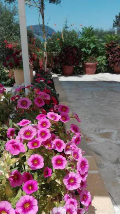 Armonia Apartments Corfu  Екстер'єр фото